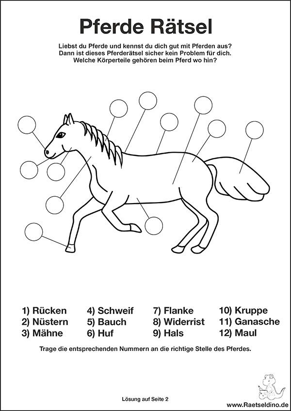 Pferde Rätsel Für Kinder Zum Ausdrucken