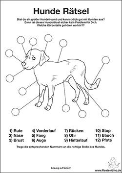 Hunde Quiz Für Kinder Zum Ausdrucken