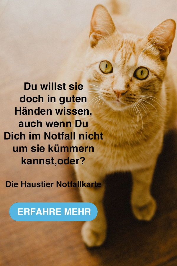 Notfallkarte Kind Zum Ausdrucken